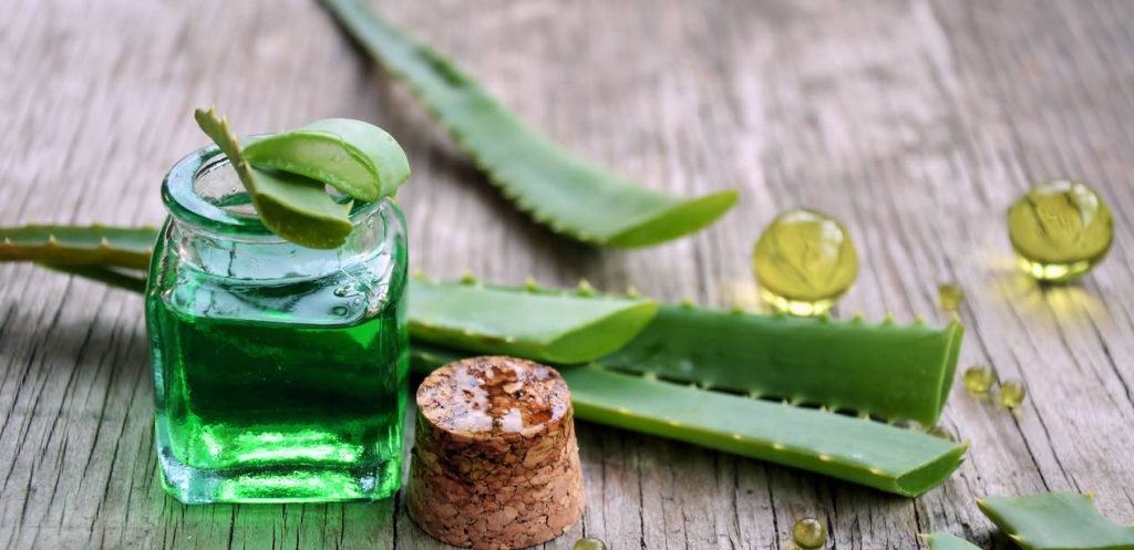 Aloe Vera and its many benefits