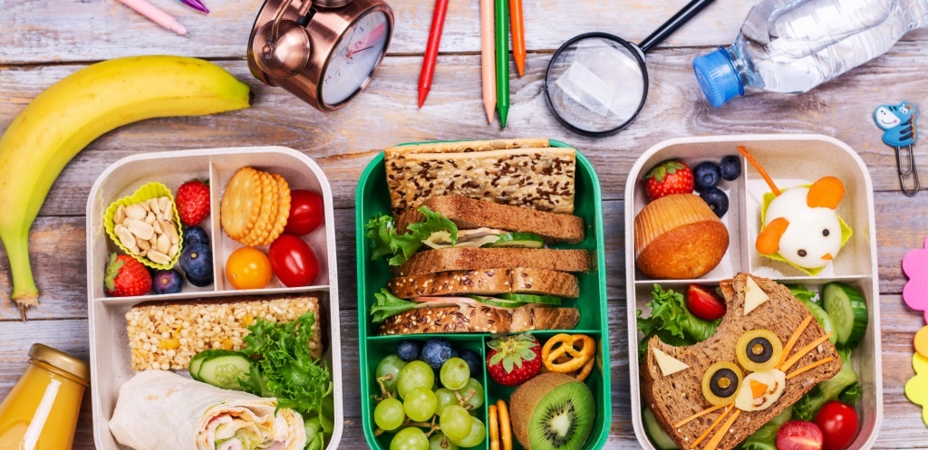 Introduction: The Importance of School Lunch Boxes